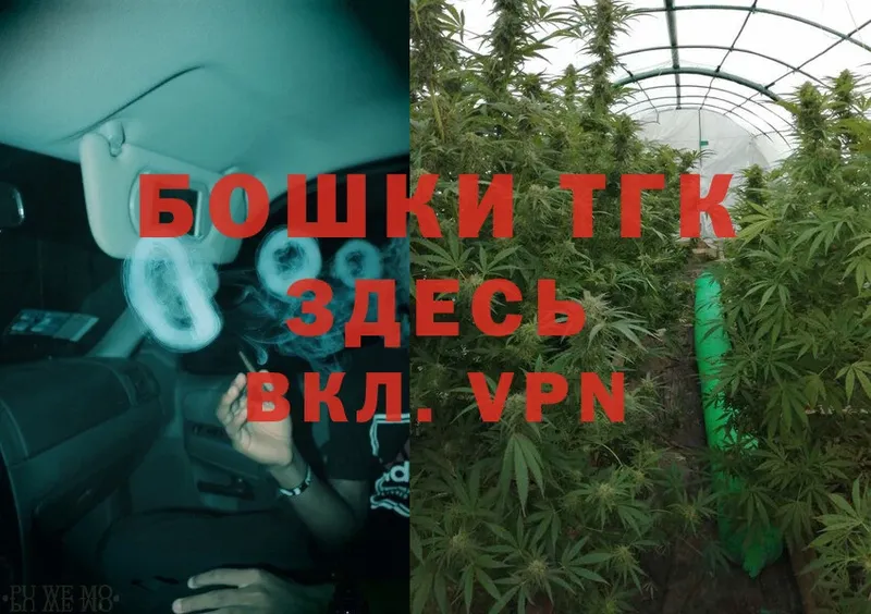 Канабис SATIVA & INDICA  Шуя 